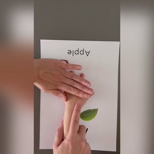 A-Z ABC Alphabet 0575