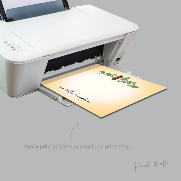 Baby Bumpkin Keepsake / Our Little Bumpkin / Pumpkin / Baby Toddler Bum Bottom / Halloween / Art Craft Print Decor 0073