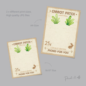 Farm Sign Carrot Patch Easter / Footprint Feet Art Craft / Kids Baby Toddler / Activity Keepsake Gift Card Decor Sign / PRINT IT OFF 0417