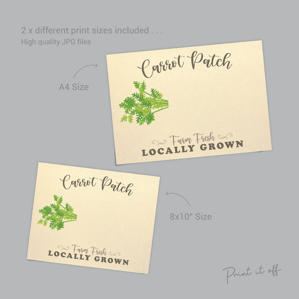 Carrot Patch / Easter / Foot Footprint Art Craft / Kids Baby Toddler / Keepsake Activity Card Diy Decor Sign / Printable PRINT IT OFF 0420