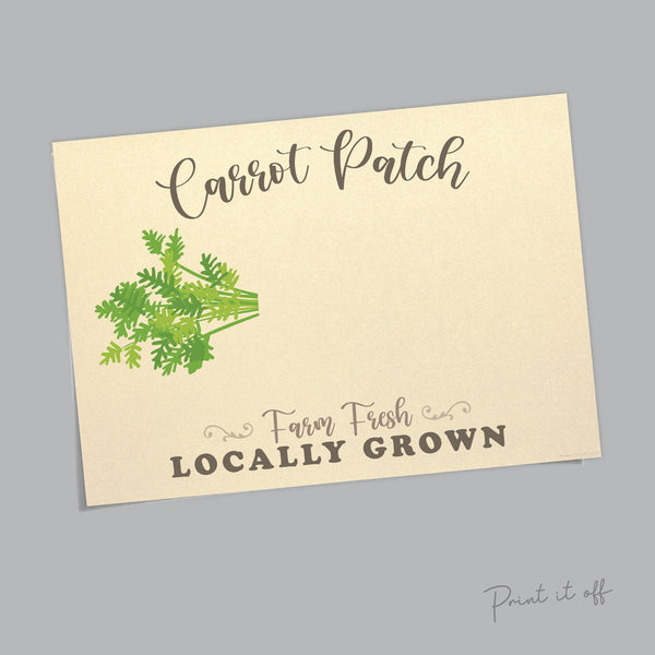 Carrot Patch / Easter / Foot Footprint Art Craft / Kids Baby Toddler / Keepsake Activity Card Diy Decor Sign / Printable PRINT IT OFF 0420