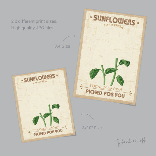 Farm Sign Sunflowers / Handprint Footprint Hand Art Craft / Kids Baby Toddler / Flower Keepsake Gift Card Decor Sign / PRINT IT OFF 0508